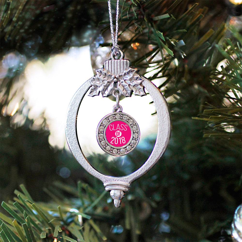 Hot Pink Class of 2018 Circle Charm Christmas / Holiday Ornament